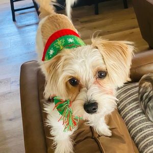 Meet your Posher, Bailie